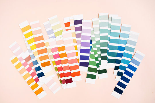 Color swatch. Color palette guide. Rainbow  scale.