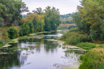 Fototapeta na wymiar river flowing in the forest.