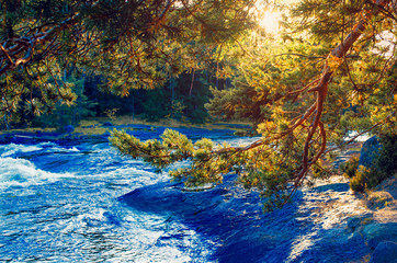 Landscape of the river at sunset. Pine forest. Waterfall. Summer trekking. Fishing.