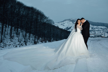 Newlyweds in witer park are walking around. Handsome groom and beautiful bride surrounded by snow. Winter wedding. The groom kisses the bride's hand