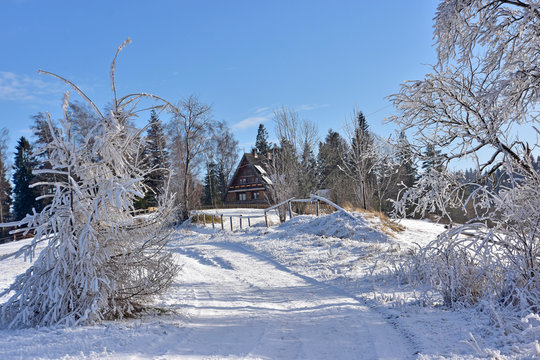 Gorce Zima - Maciejowa Bac&oacute;wka - Rabka