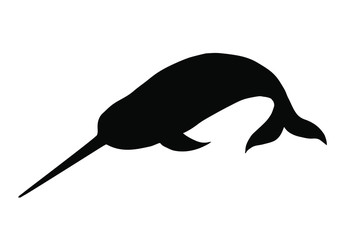 Vector black narwhal silhouette isolated on white background - obrazy, fototapety, plakaty