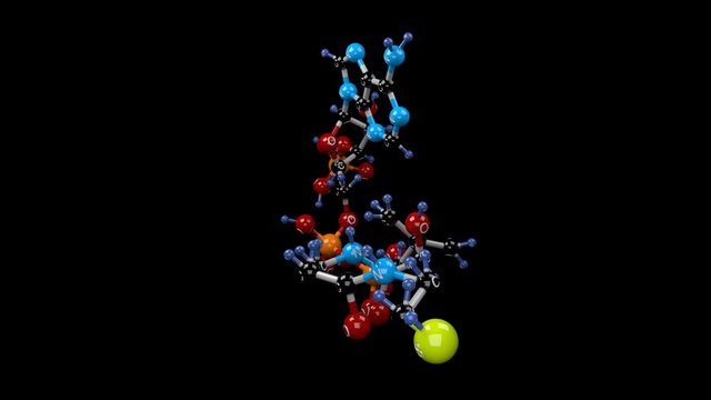 Coenzyme A molecule. Molecular structure of Coenzyme A, known for its role in the synthesis and oxidation of fatty acids. Alpha channel.