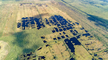Aerial view on Round forest lake. bog or bogland is wetland that accumulates peat, deposit of dead...