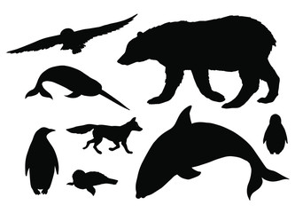 Vector black set bundle of polar north animals silhouette isolated on white background