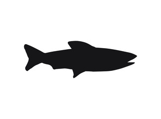 Vector black fish silhouette isolated on white background