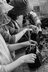 Kids Planting