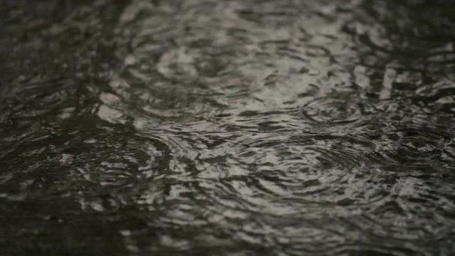 Heavy tropical rain on concrete road