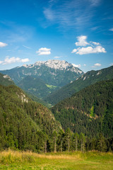 Fototapeta na wymiar View over valley to mountain Raduha in Kamnik–Savinja Alps