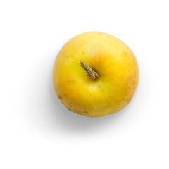 Fresh yellow apples Golden, dry leaves and a branch on a white background. Autumn composition.