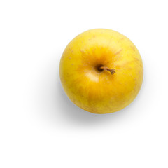 Fresh yellow apples Golden, dry leaves and a branch on a white background. Autumn composition.