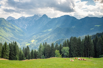 Fototapeta na wymiar View over Logarska valley to Kamnik–Savinja Alps in Slovenia