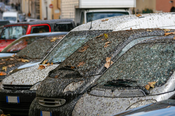 bird faeces and dirt on car windows in İtaly