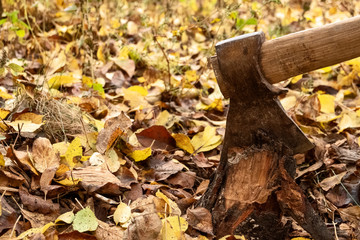 Fototapeta na wymiar The ax is stabbed with a blade into the stump. Ax with wooden handle.