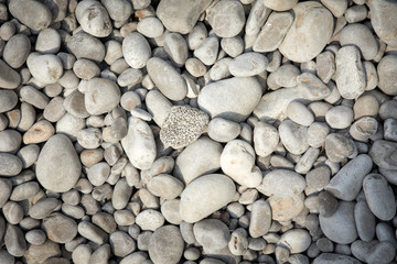 pebbles on the beach in the Montenegro