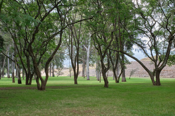 Área verde adyacente a zona arqueológica de Tzintzunzan