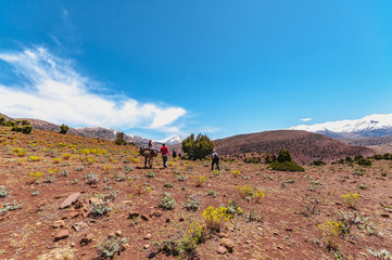 Familly trekking in high mountain of the Aït Bouguemez valley in Morocco