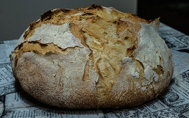 Pan de Masa madre Levain, trigo y centeno