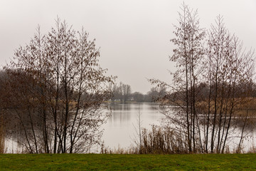 Calm winter lake in park in Malmö, Sweden