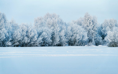 Winter road with snow in Finland. Landscape of Lapland in Europe. Forest along highway during ride. Snowy trip. Cold driveway. Driving in Finnish motorway on north Rovaniemi village. View with tree