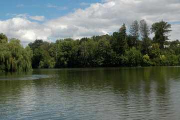 Naklejka premium nature