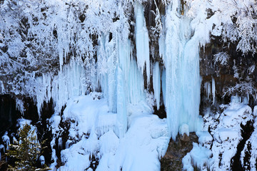 Fototapeta premium 冬の白ひげの滝