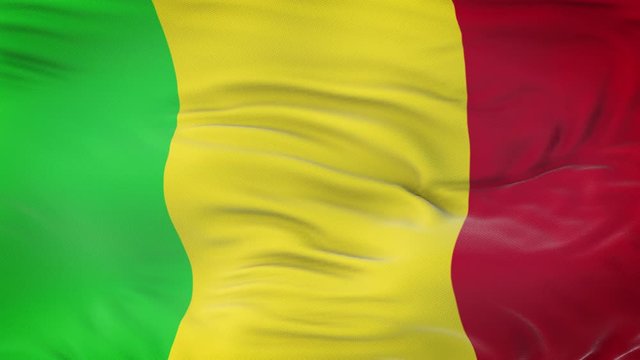 Mali flag waving in the wind with highly detailed fabric texture. Seamless loop