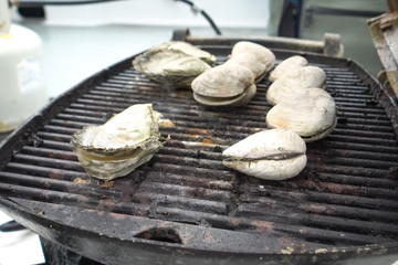 Grilled oysters on grill in the open air.
