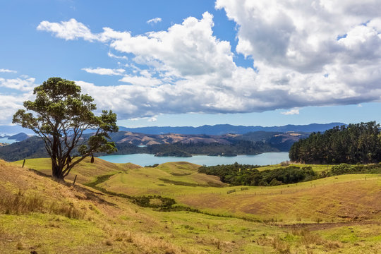 New Zealand, North Island, Waikato, scenic landscape against cloudy sky