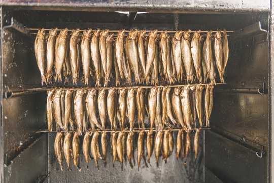 Germany, Schleswig-Holstein, Eckernforde, Smoked sprattus fish hanging in smokehouse