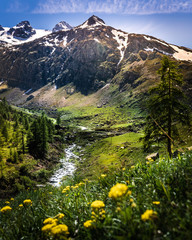 River in Gran Paradiso Italian alps mountains in Graian Alps in Piedmont, Italy with snow capped peaks.