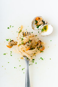 High angle view of clams and noodles in fork on white background
