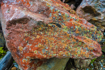 rock with colorful lichen