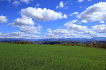 北海道 富良野市 秋の田園風景 ( Autumnal ruralscape at Furano City, Hokkaido, Japan )