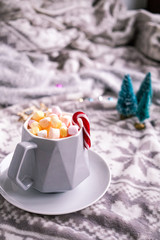 Obraz na płótnie Canvas Winter compostion. Christmas lifestyle photo with mini marshmallows hit chocolate