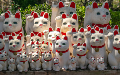 Cat Lucky Manekineko