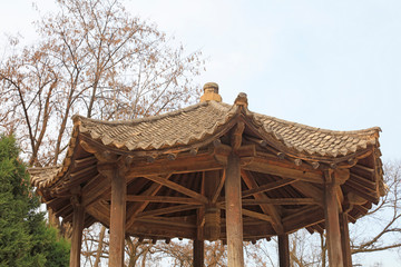 Wooden Pavilion Architecture
