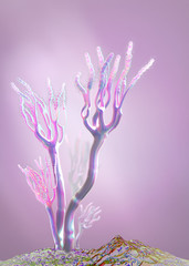Microscopic illustration of growing molds or mold fungus and spores - 3d illustration