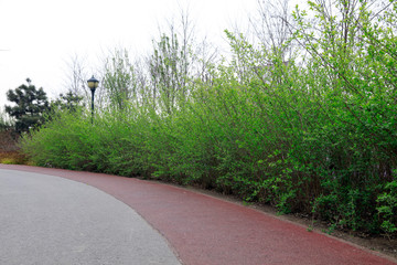 Plastic runways and green plants