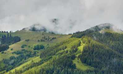 Fototapeta premium mountainous landscape with forested hills. beautiful summer