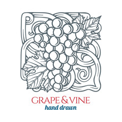Grape and vine ornament.  Hand drawn grape bunch engraving style illustration. Bunch of grapes sketch drawing. Part of set.