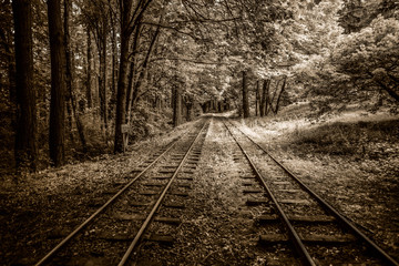 Fototapeta na wymiar The old railroad in forest