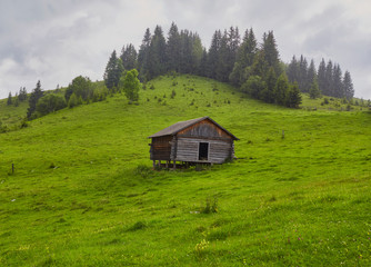 A wooden house on a green meadow in mountains. A house near old forest.