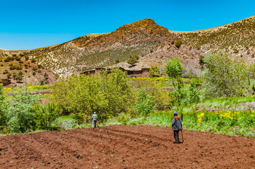 Traditional agriculture in high mountain of the A&iuml;t Bouguemez valley in Morocco