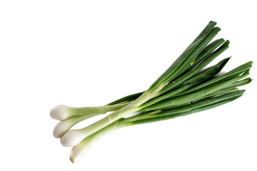 Fototapeta premium Cebollas o cebollines con tallo sobre fondo blanco