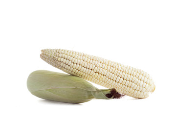 Elote de maiz blanco  sobre fondo limpio. Concepto de alimentos saludables.