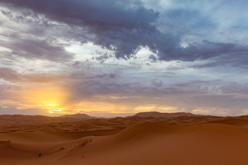 Landscape of a desert 