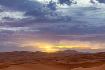 Fototapeta na wymiar Landscape of a desert 