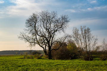 Autumn landscape. Blue sky over an empty field.