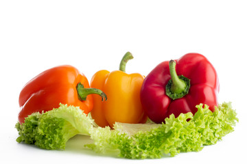 Lechuga con pimientos morrón sobre fondo blanco